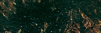 eco-philosophy and spirituality